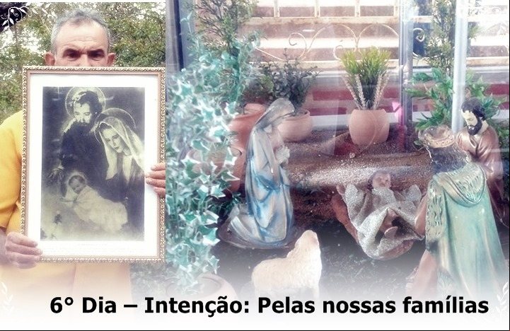 6dia