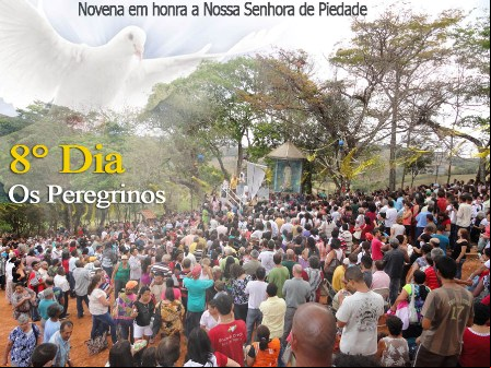 8 dia1