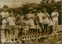 Os Novos Videntes
